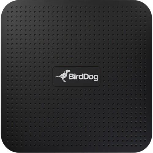 BirdDog Play 4K NDI Player